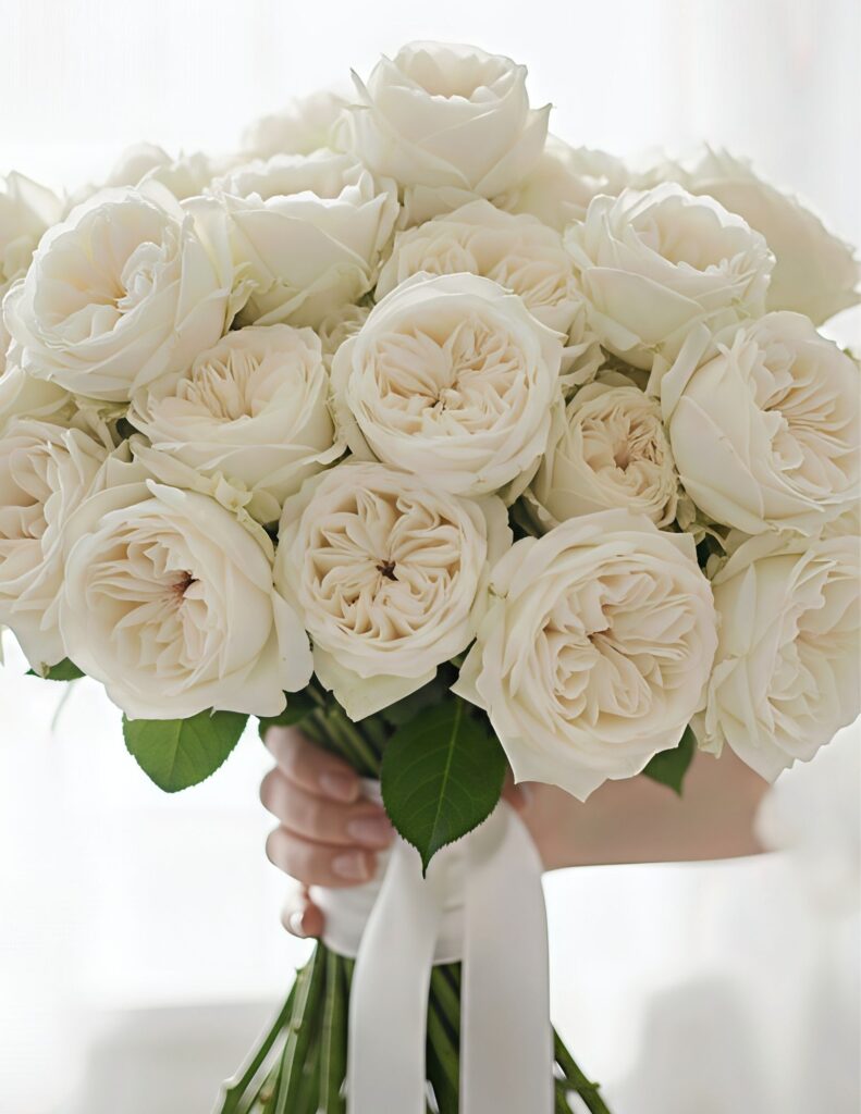 White garden roses that is worth the splurge