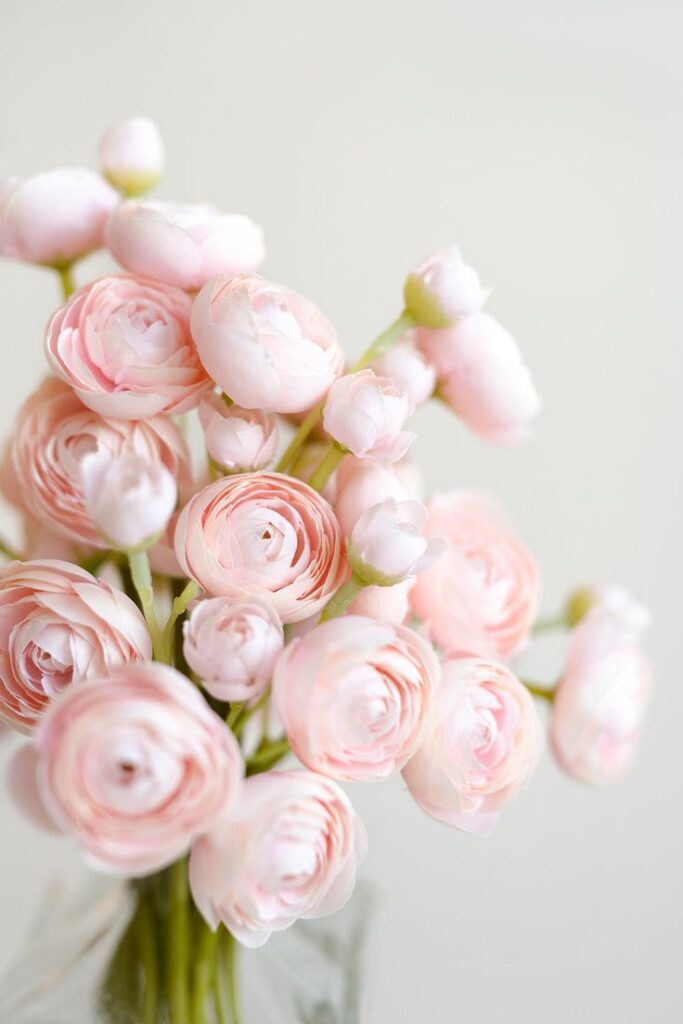 Blush ranunculus worth the splurge for your wedding